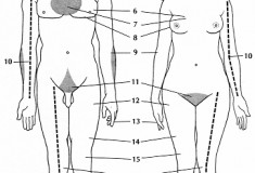 Quality porn - Do asian women have pubic hair have hair Do pubic asian women