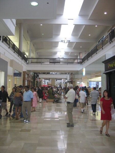 Asian Americans Malls Thriving Despite General Shopping Mall Decline