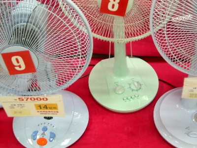 Beware of South Korean Fan Death!