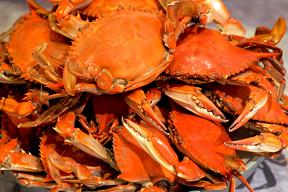 crab_boil_key_lime_tartare-11