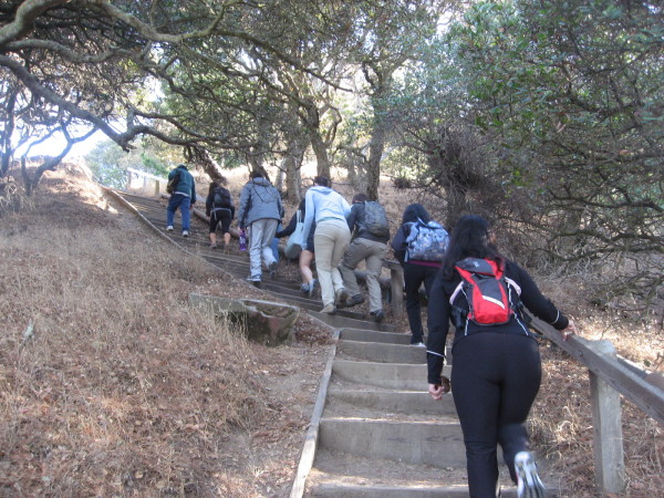 Angel_Island_Steep_Stairs