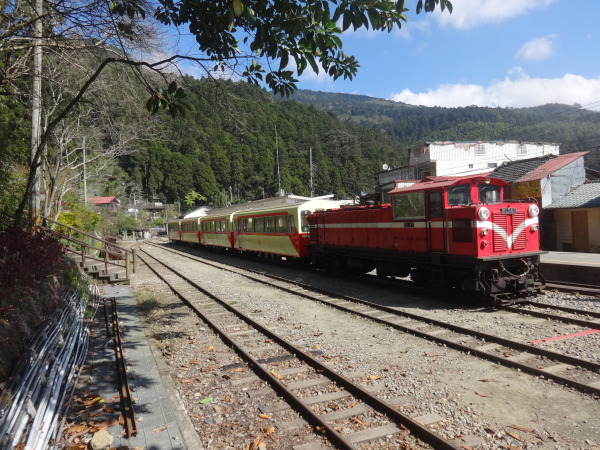 Alishan Train, Taiwan