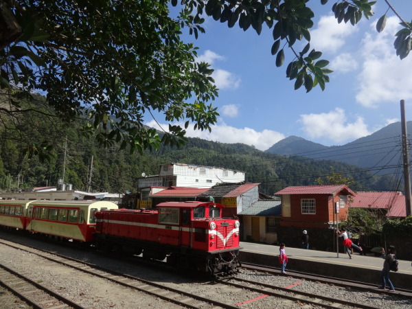 Taiwan Alishan