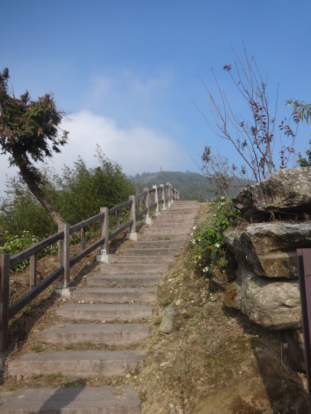 Taiwan Alishan 