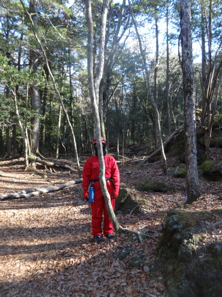 aokigahara