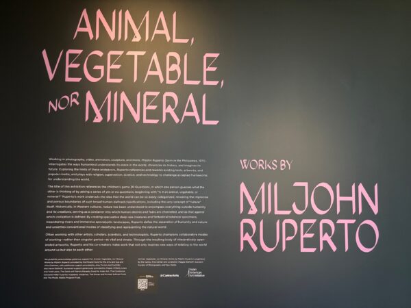 Artist Miljohn Ruperto show "Animal, Vegetable, nor Mineral" at Stanford's Cantor museum.