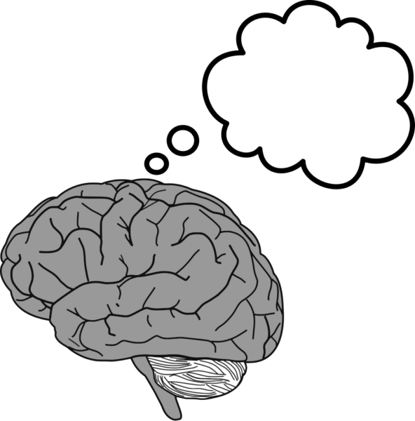 Brain and thoughts, part of story on the variability of Asian American Cognitive Decline