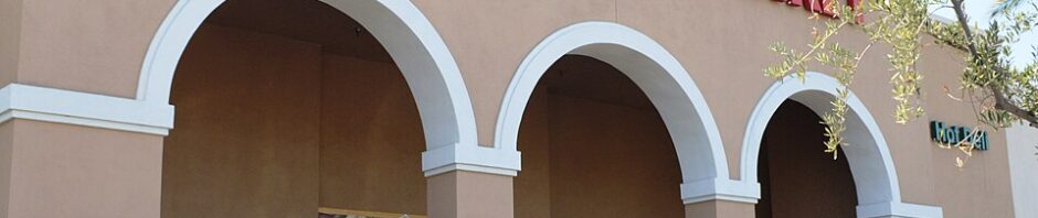 Irvine 99 Ranch Market, part of John Luk Asian Mall Developer story
